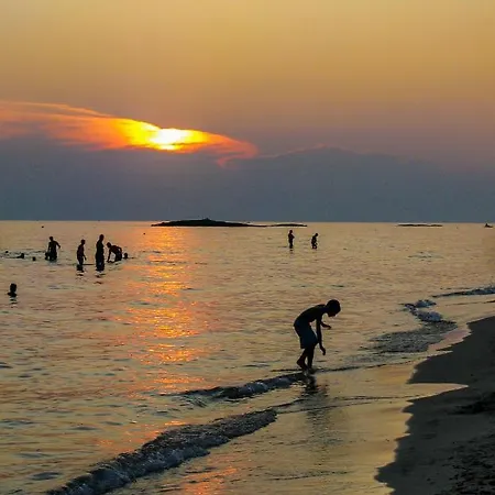Ca Mi